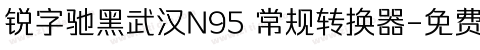 锐字驰黑武汉N95 常规转换器字体转换